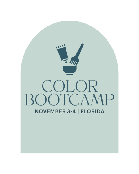 Academy 2024 - November Color Bootcamp
